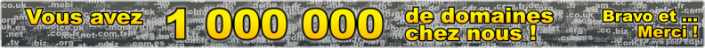 Vous avez réservé 1 000 000 de domaines chez OVH